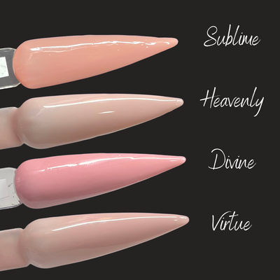 AnGel Builder Gel Bargain Box