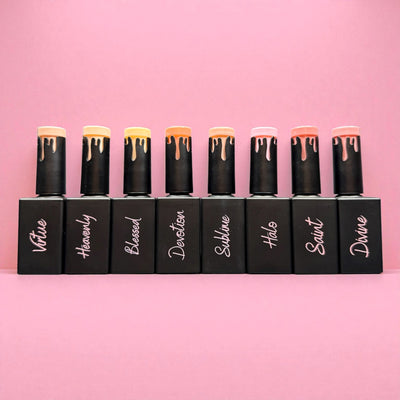 AnGel Builder Gel Bargain Box