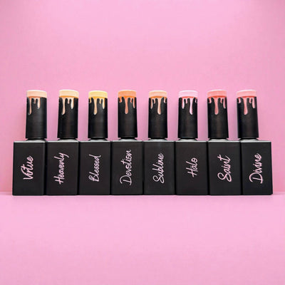 AnGel Builder Gel Bargain Box