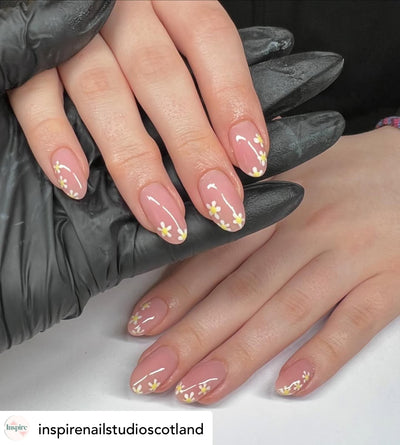 AnGel Builder Gel 25g Pot Seraph