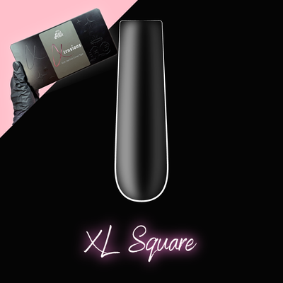 Boîte d'embouts carrée transparente XL